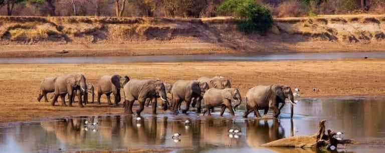   "South Luangwa National Park" .. the best tourist places in Zambia ..