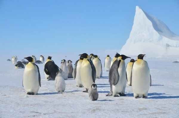 The right time to travel to the South Pole ...
