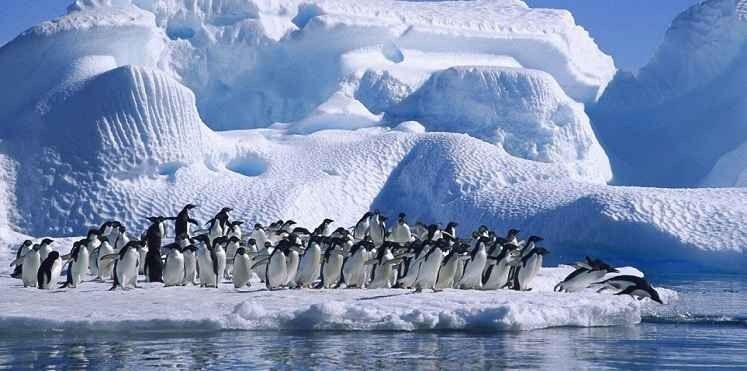 - "Beaches" are the most important places for tourism in the Antarctic ...