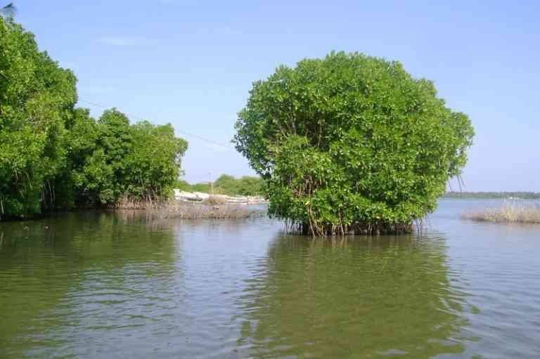 Lake "Negombo" .. one of the most beautiful tourist places in New Negombo .. 