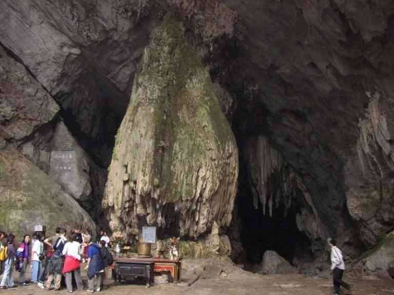 A similar cave of the shrub