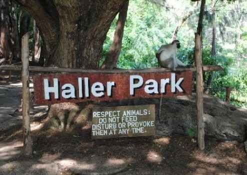 Haller Park