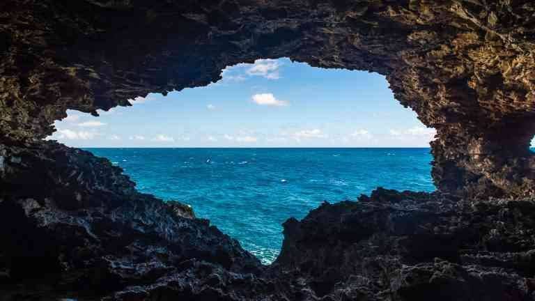 the Animal Flower Cave