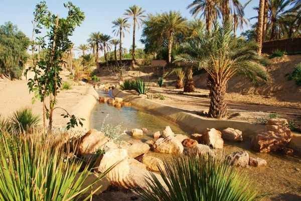 Gabes Oasis .. The most important tourist attraction in Gabes ..