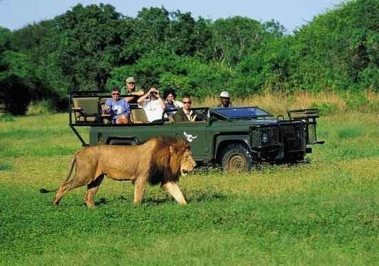 1581235178 216 Safari trips in South Africa ... get to know them - Safari trips in South Africa ... get to know them