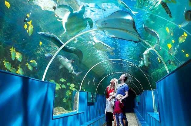 Brighton Aquarium - Tourism in Brighton