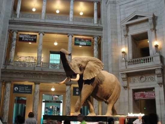 The "natural history museum" ..