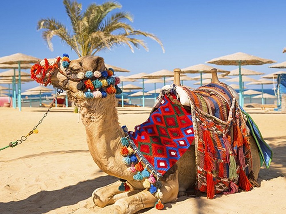Holiday-Mai_Egypt_Hurghada_Holidays_178623179_1000 x 750