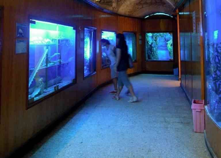 Aquarium Museum