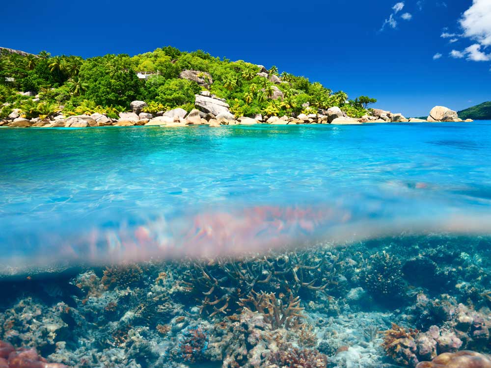 Holiday-me_sail_sail_sheets_ best-tourist-activities-in-Seychelles_ month-honey_394401361_1000x750