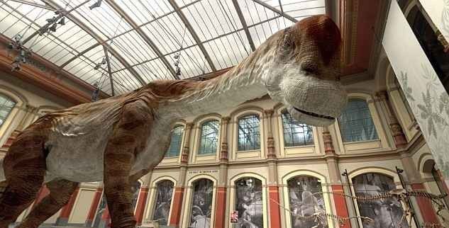 "Berlin Natural History Museums" ..