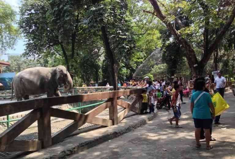 Manila Zoo 