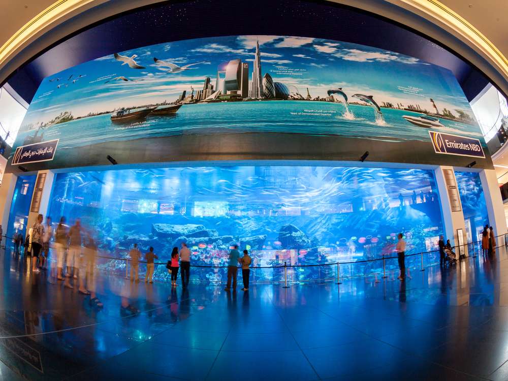 Holiday-Emirates_Equarium_Dubai-Mall_246107083_1000 x 750