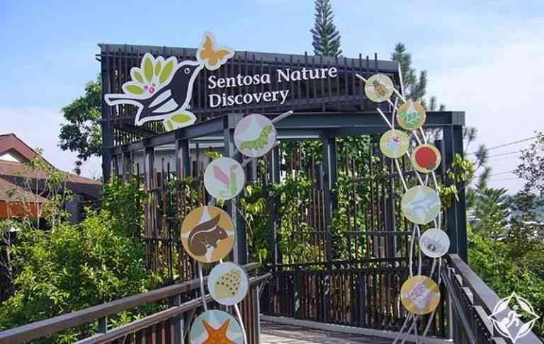 Nature Discovery Gallery