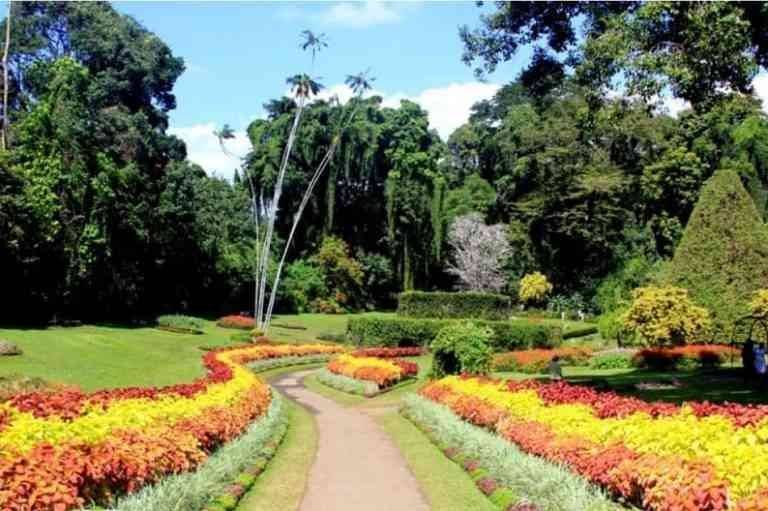 Flower Garden - Recreation in Sri Lanka
