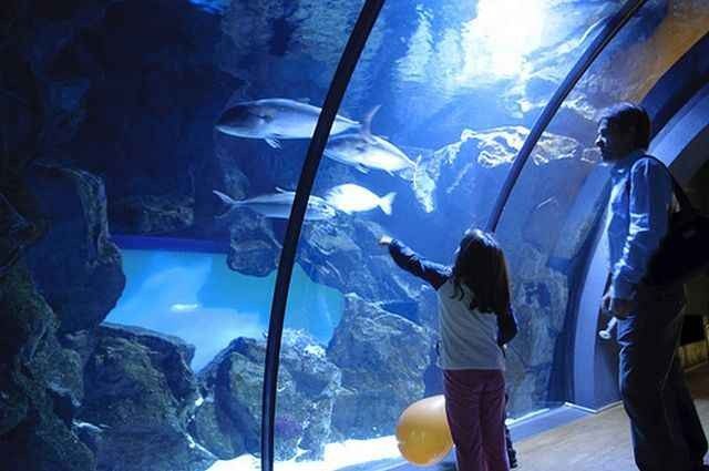 Aquarium Civico de Milan