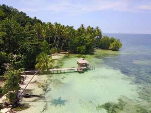 "Raja Ampat Islands Forest" ..
