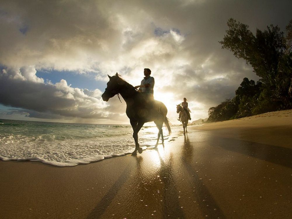 Horseback riding on the beaches of Seychelles
