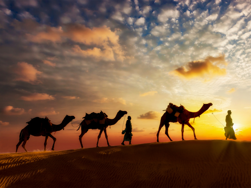 To watch the sunset in the desert of Morocco