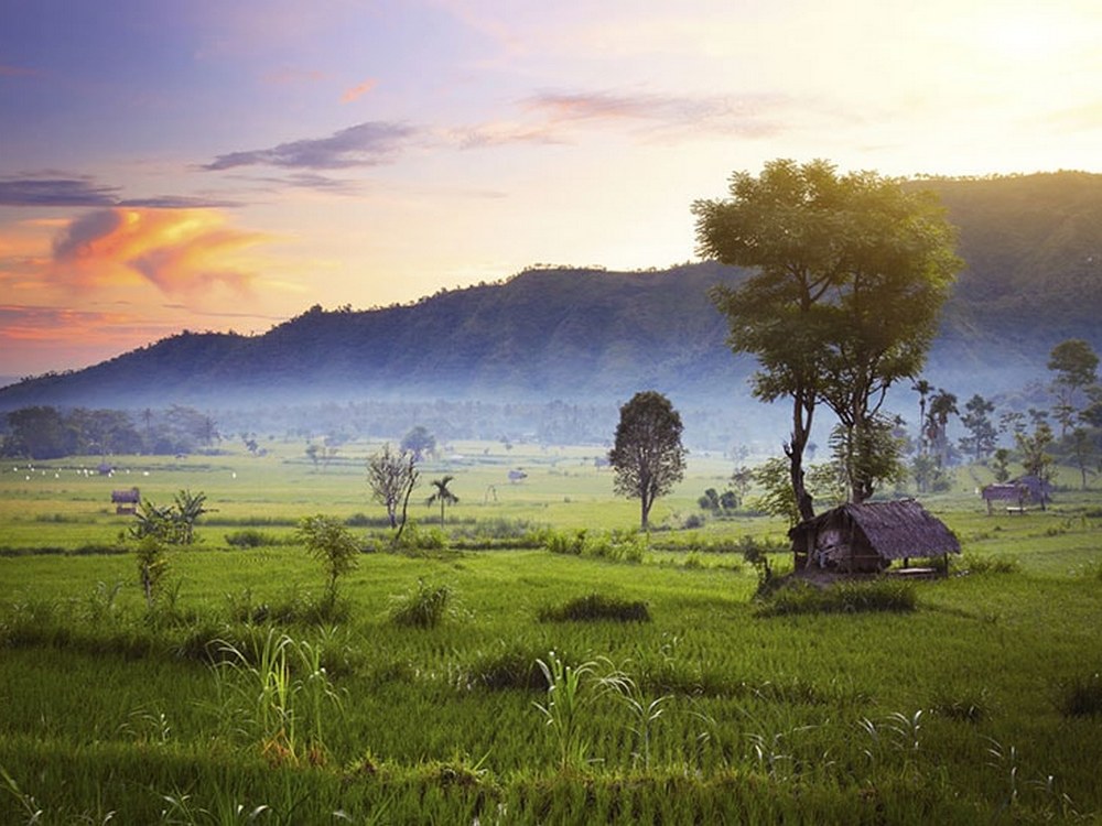 Rice fields and beautiful rural villages - Holiday Mai