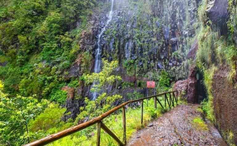 "Botanical Garden" .. one of the most beautiful tourist attractions in Madeira, Portugal ...