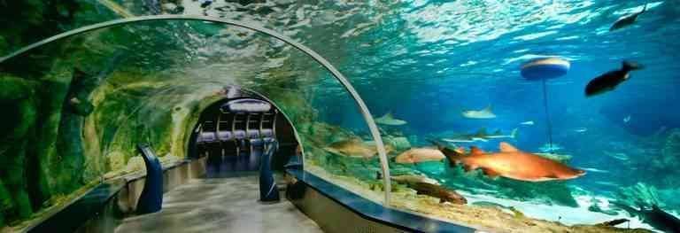 Aqua Marina - Theme park in Istanbul