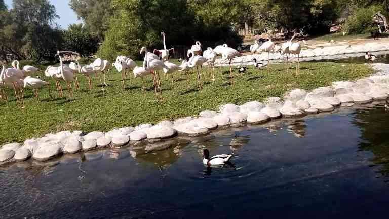 Al Areen Park and Reserve - Theme park in Bahrain Bahrain