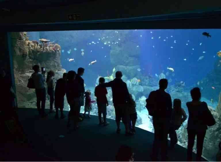 "The National Aquarium" ... one of the most beautiful tourist places in British Plymouth ...