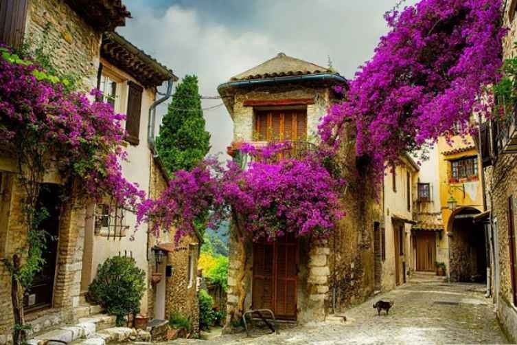 Don't miss these activities when traveling to XN Provence, France.
