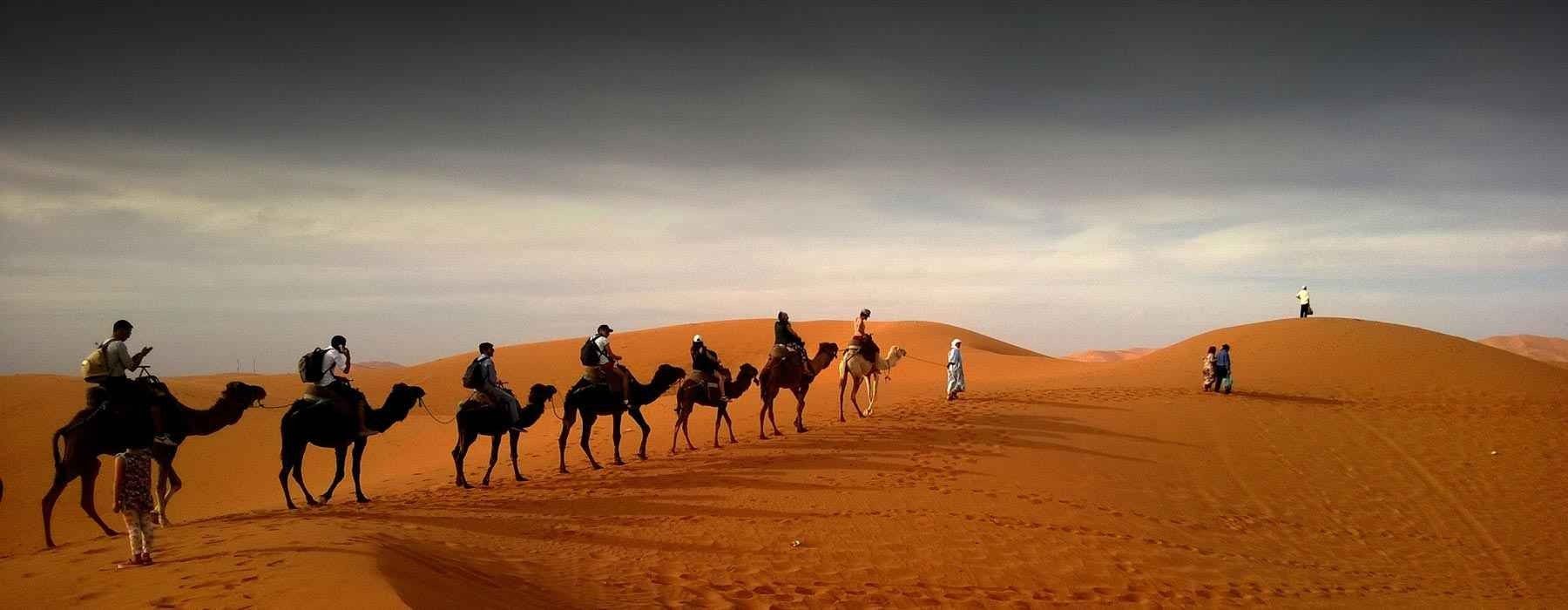 المسافرون العرب