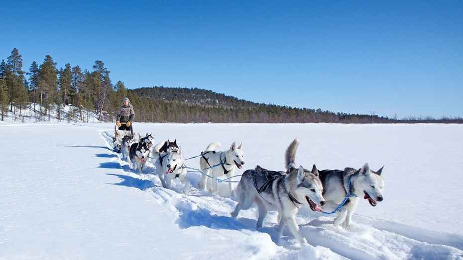 Tourist activities in Finland: 10 most beautiful activities