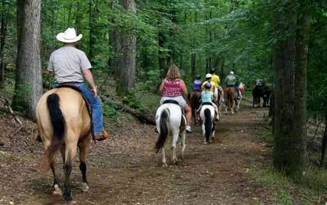 "Horse riding" .. the most prominent tourist activities in Bosnia ..