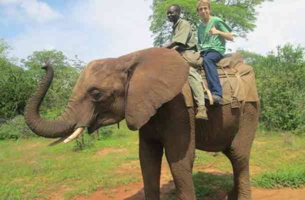 Watch and ride elephants