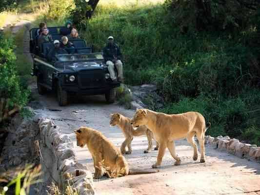Visit the Kruger National Park