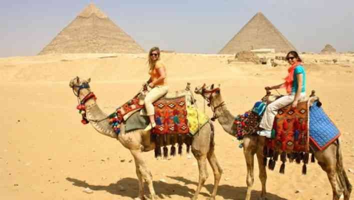  "Camel Rides" .. one of the most beautiful tourist activities in Cairo ..