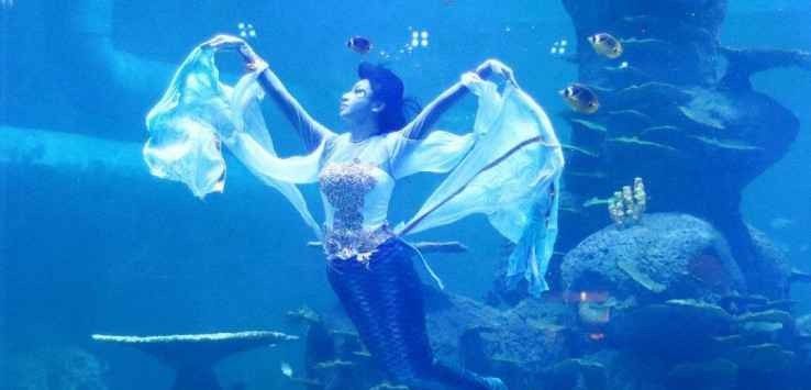 See the aquatic life in Jakarta 