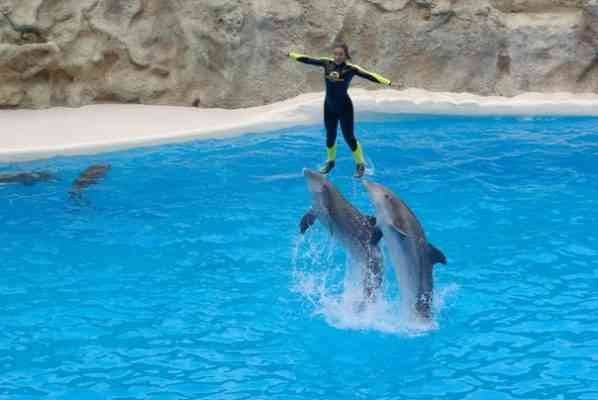 Aqua Dolphin .. home to "Water Games" in Istanbul ..