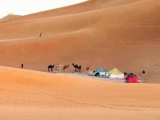 "Safari trips" ... one of the most important tourist activities in Morocco.