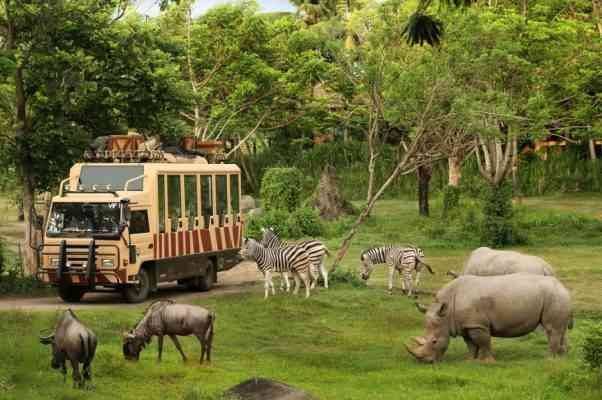 The most beautiful tourist activities in Indonesia at the Zoo "Ragunan" ..