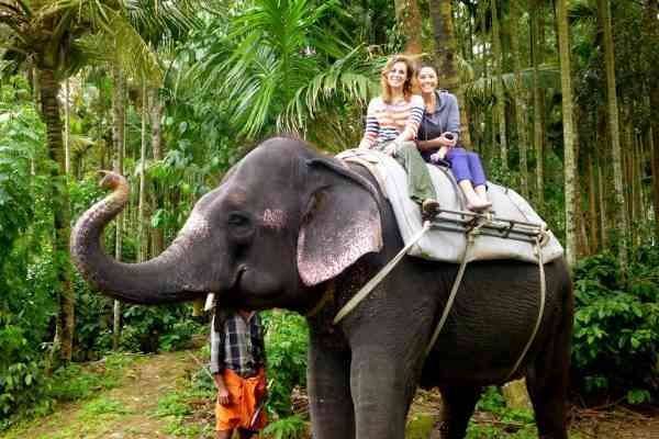 Elephant riding is the most prominent tourism activity in the Elephant Park.