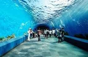 Bangkok Aquarium ..