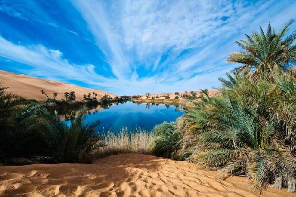 The oases of the Libyan south