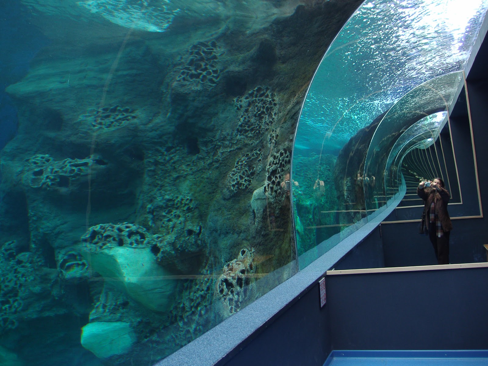 Crete Aquarium