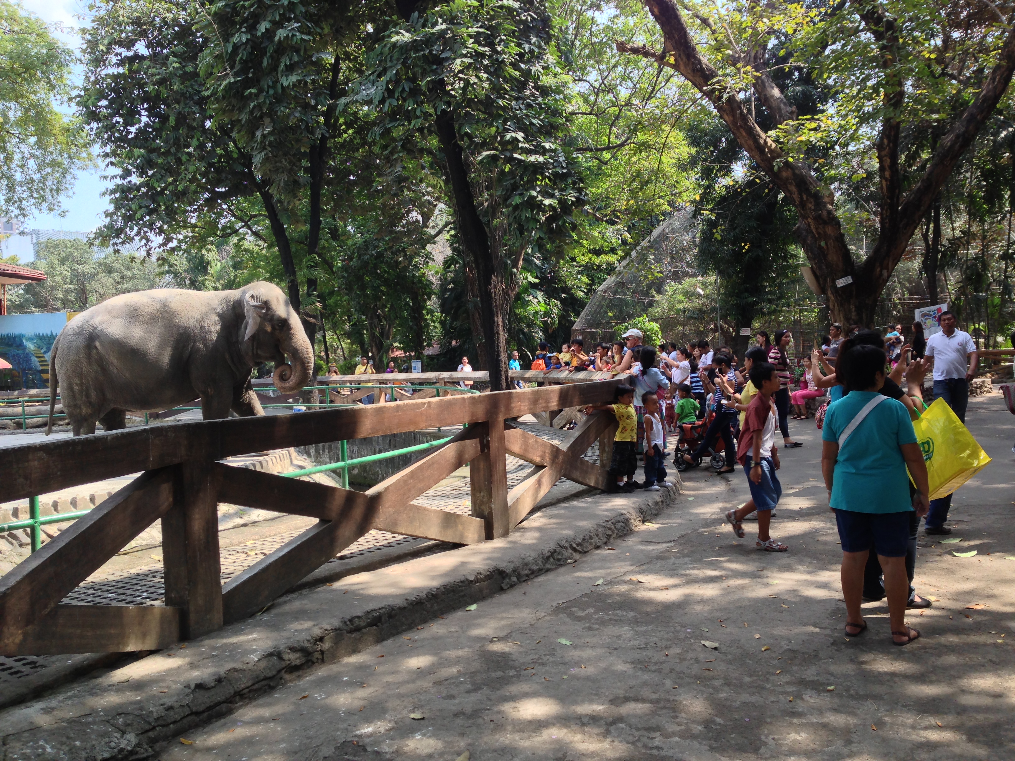Manila Zoo