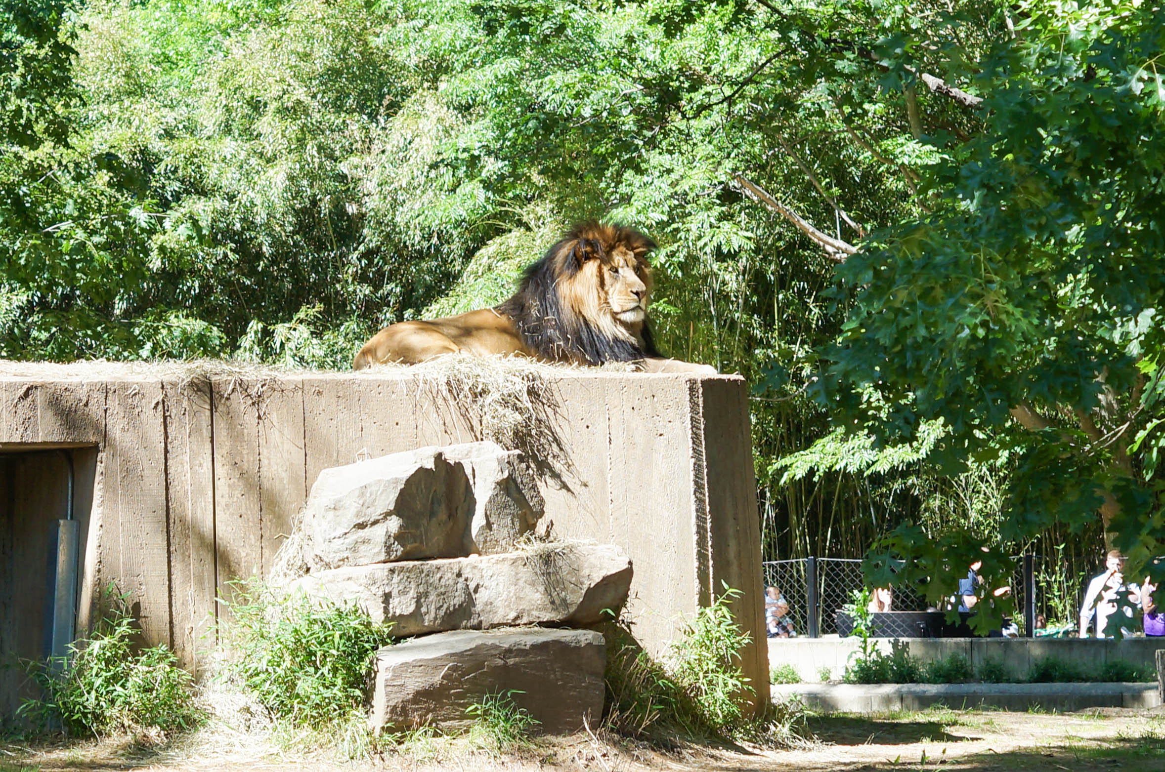 Baku Zoo