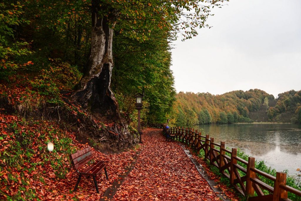 Oulu Logol Park