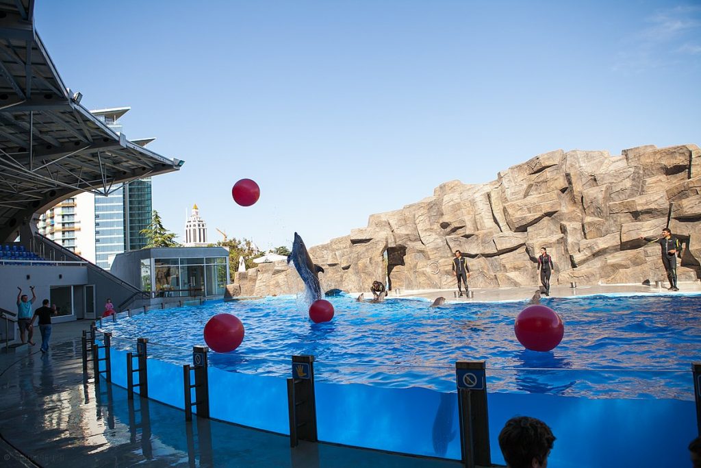 Dolphinarium of Batumi