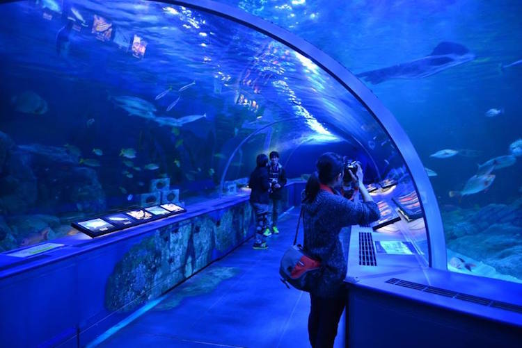 Civic Aquarium in Milan