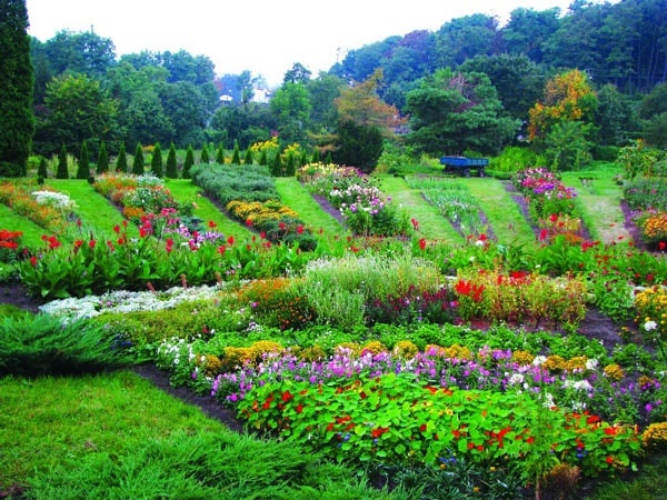 Central Botanical Garden