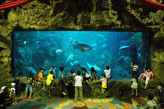 Sea World Jakarta